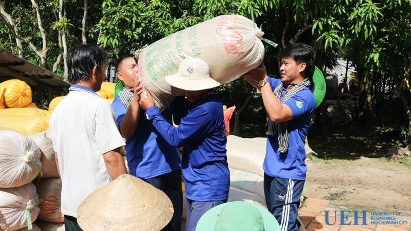 cá cược thể thao hul city